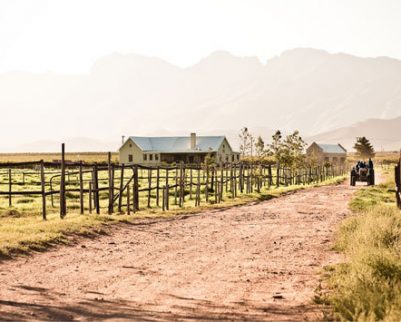 Arabella Wine Farm Robertson Wine Valley